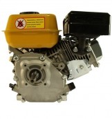 Двигатель Forte F210GS-20 цена