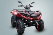 Квадроцикл LINHAI LH300 ATV-D (Красный) цена